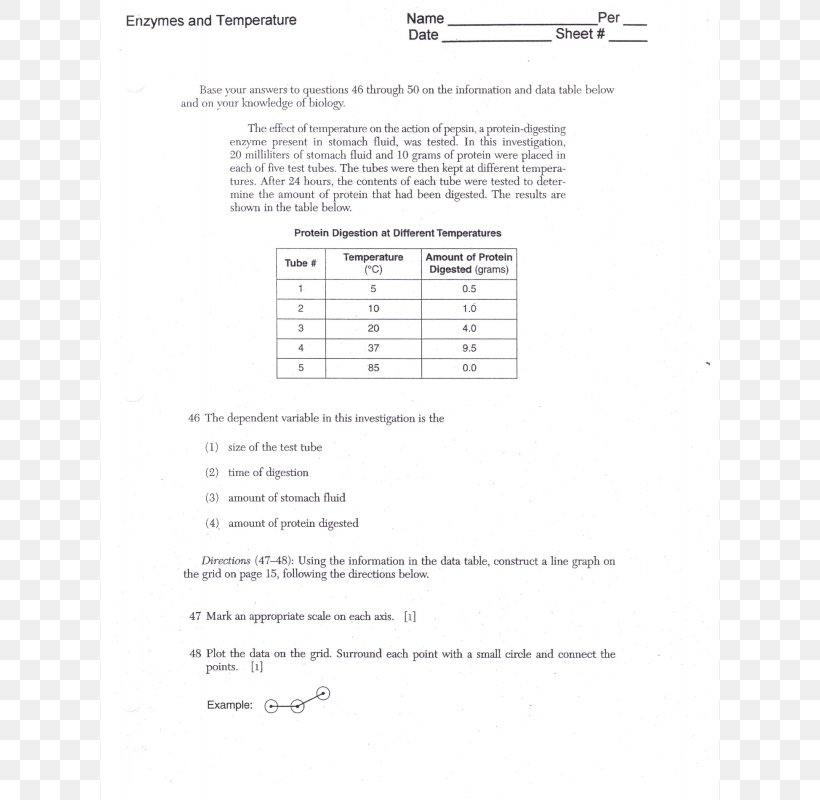 Document Line Angle, PNG, 800x800px, Document, Area, Diagram, Paper, Text Download Free