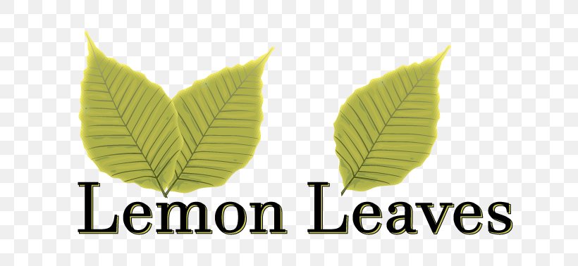 Leaf Logo Lemon Brand Font, PNG, 700x378px, Leaf, Brand, Green, Lemon, Logo Download Free