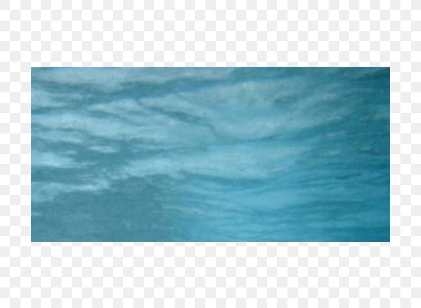 Marine Mammal Ocean Turquoise Rectangle Sky Plc, PNG, 800x600px, Marine Mammal, Aqua, Azure, Blue, Calm Download Free