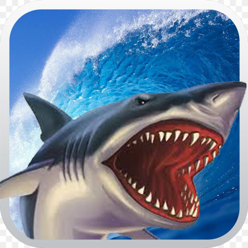 Shark Attack Simulator 3D Crocodile Attack Free: Wild 3D, PNG, 1024x1024px, 3d Computer Graphics, Shark, Android, Carcharhiniformes, Cartilaginous Fish Download Free