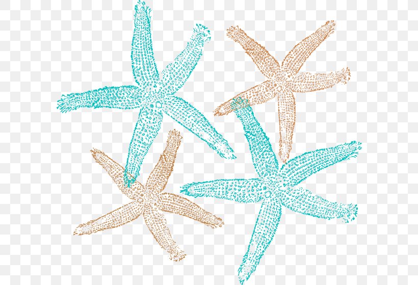 Starfish Clip Art, PNG, 600x559px, Starfish, Aqua, Echinoderm, Graphic Arts, Invertebrate Download Free