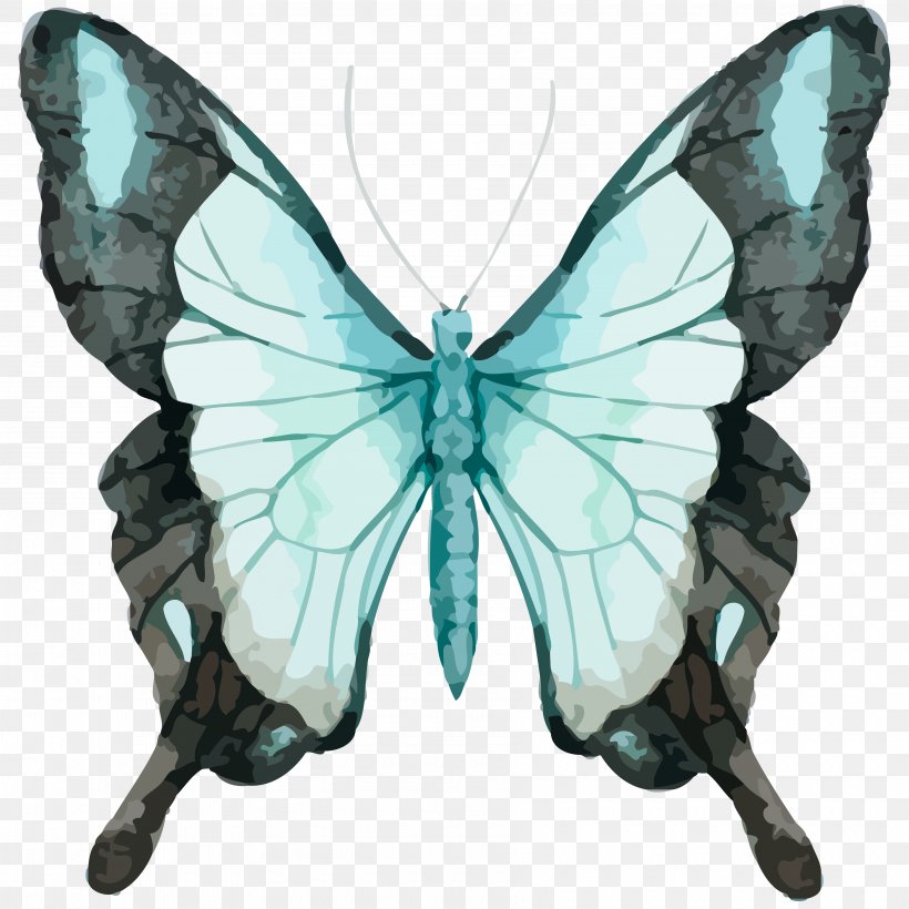 Butterfly Watercolor Painting Vector Graphics Stock Photography Royalty-free, PNG, 3600x3600px, Butterfly, Arthropod, Butterflies And Moths, Drawing, Insect Download Free