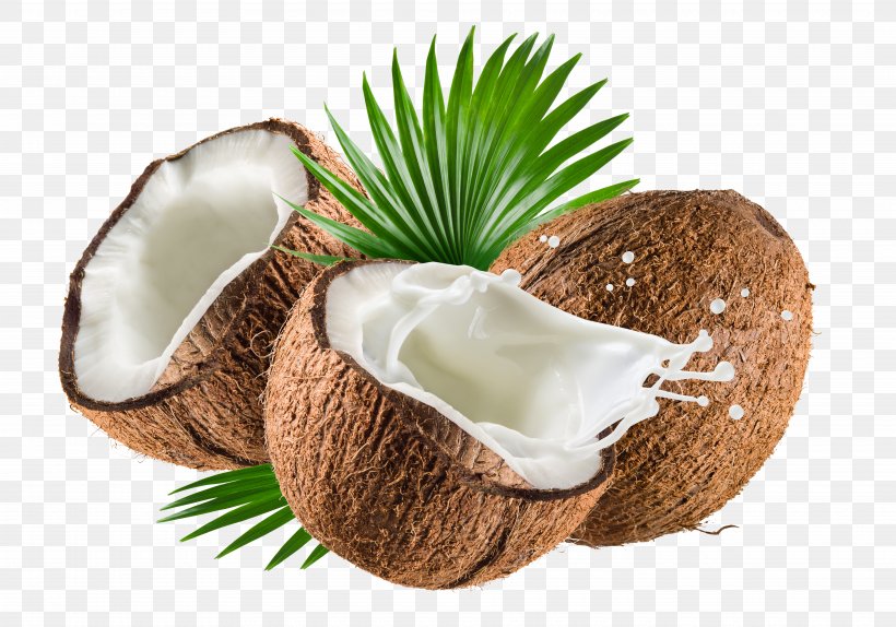 Coconut Milk Coconut Water Nata De Coco Coconut Oil, PNG, 7500x5256px, Coconut Milk, Coconut, Coconut Cream, Coconut Milk Powder, Coconut Oil Download Free