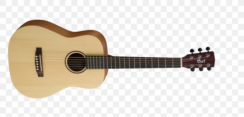 Cort Guitars Twelve-string Guitar Acoustic Guitar Musical Instruments, PNG, 1028x492px, Watercolor, Cartoon, Flower, Frame, Heart Download Free