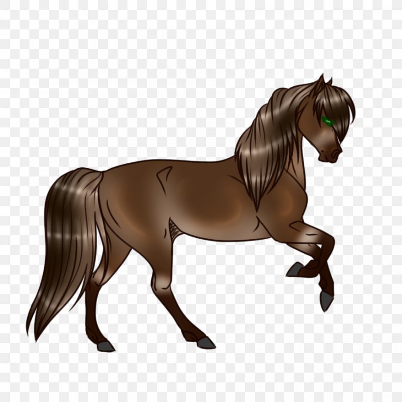 Mare Stallion Mustang Hanoverian Horse Colt, PNG, 894x894px, Mare, Bridle, Colt, Fictional Character, Halter Download Free