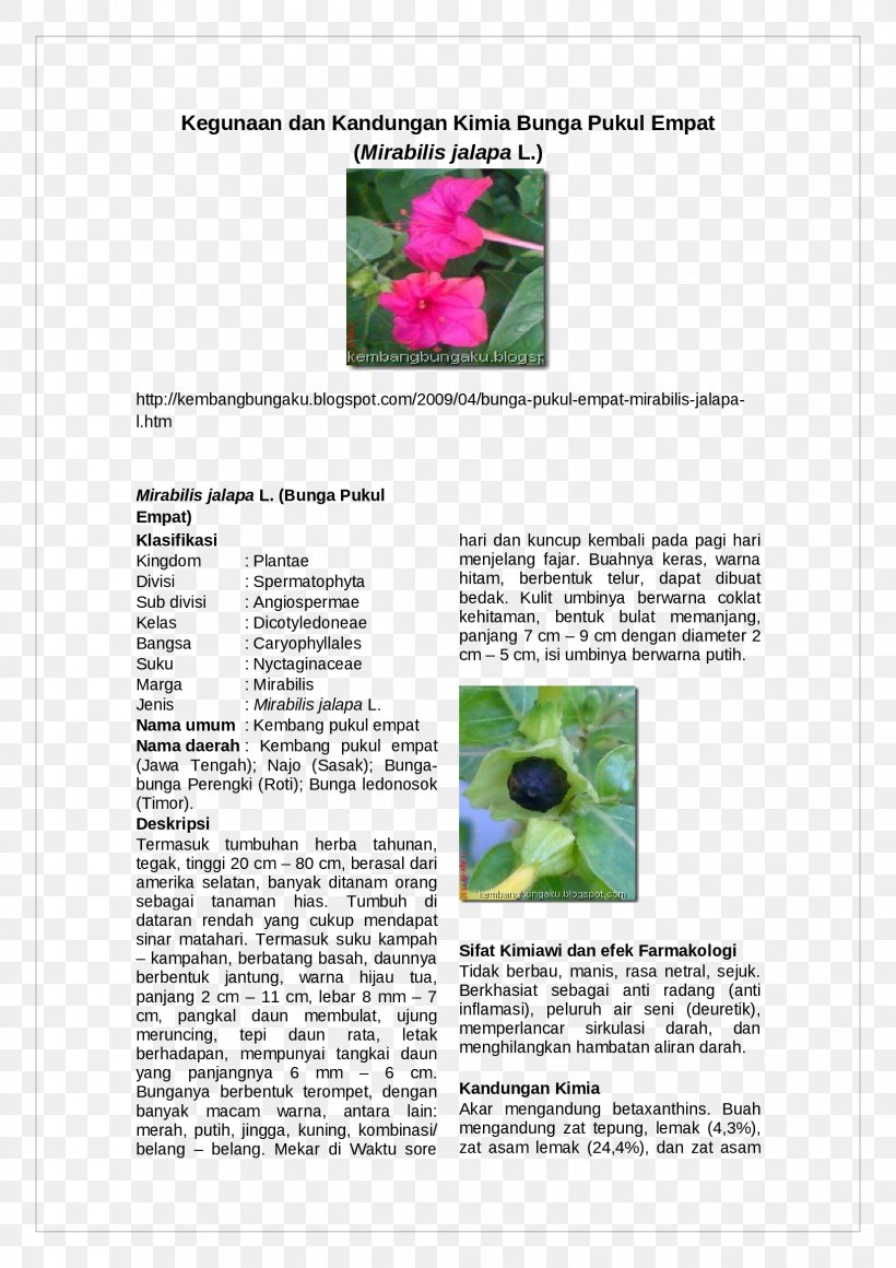 Brochure, PNG, 1653x2339px, Brochure, Advertising, Grass, Plant, Text Download Free