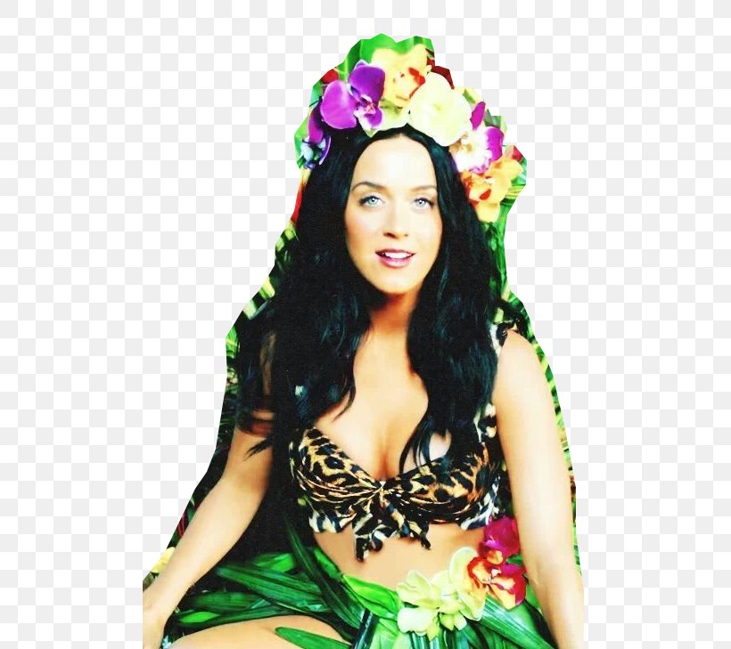 Katy Perry Roar One Of The Boys Teenage Dream, PNG, 500x729px, Katy Perry, Black Hair, Brown Hair, Costume, Crown Download Free