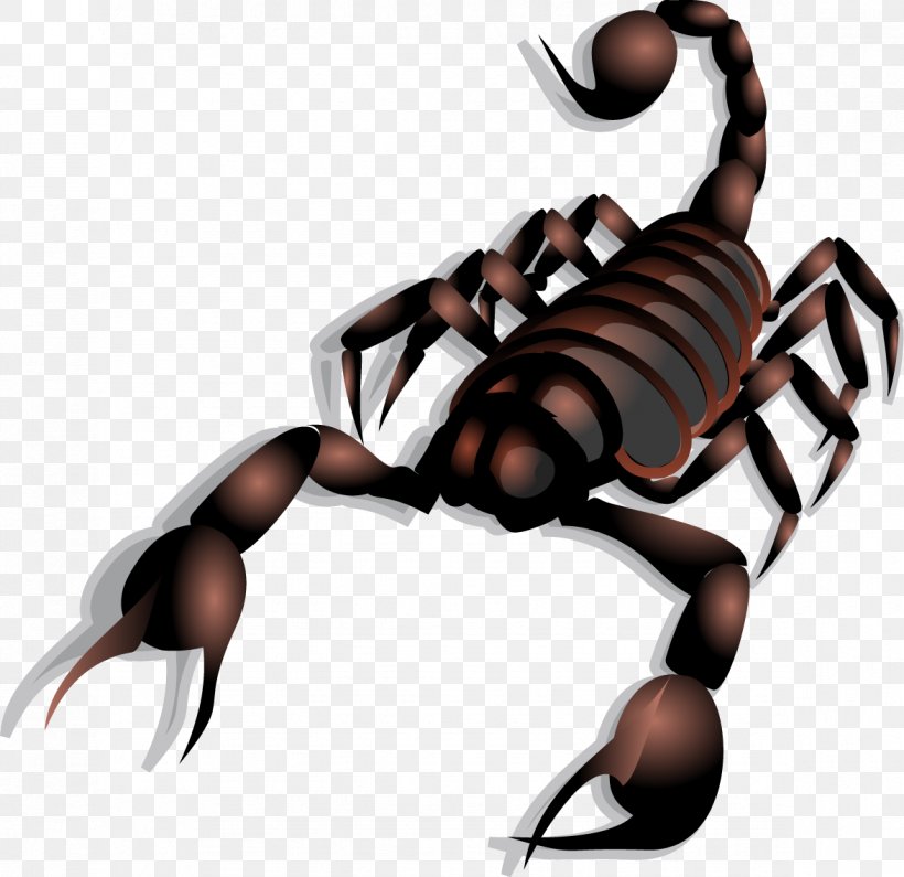 Scorpion Clip Art, PNG, 1173x1138px, Scorpion, Arthropod, Free Content, Hand, Invertebrate Download Free
