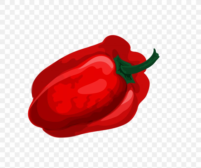 Bell Pepper Chili Pepper Vegetable, PNG, 2871x2398px, Bell Pepper, Animation, Bell Peppers And Chili Peppers, Capsicum, Capsicum Annuum Download Free