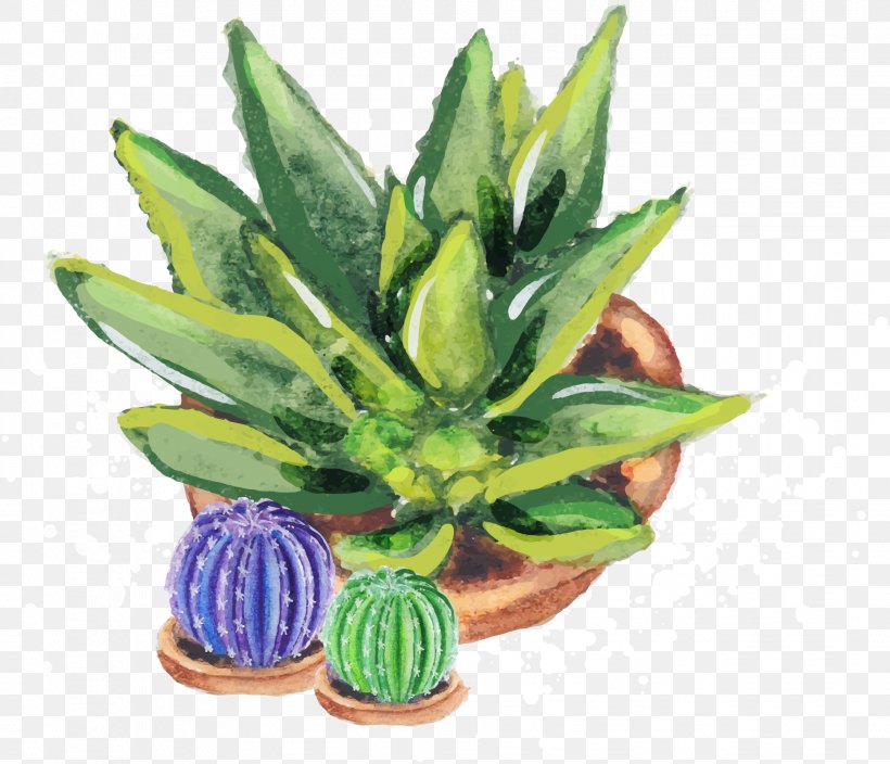 Aloe Vera Euclidean Vector Vecteur Cactaceae, PNG, 1862x1600px, Aloe Vera, Aloe, Ananas, Cactaceae, Flowerpot Download Free