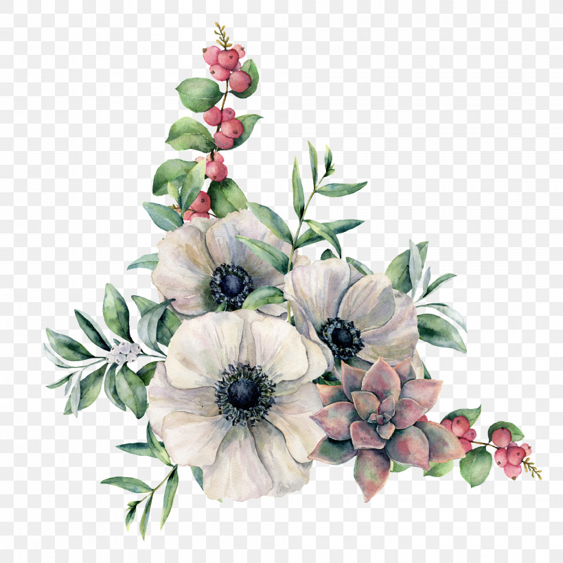 Anemone Flower Watercolor Painting Gum Trees Branch, PNG, 4000x4000px, Anemone, Branch, Buttercup, Color, Flower Download Free