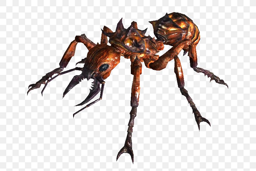 Fallout 3 Fallout 2 Red Imported Fire Ant Insect, PNG, 767x548px, Fallout 3, Animal Source Foods, Ant, Arthropod, Black Garden Ant Download Free