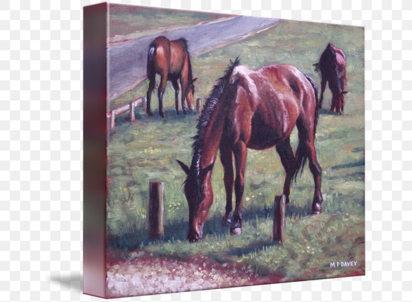 Mare New Forest Pony Stallion Painting, PNG, 650x602px, Mare, Art, Bridle, Canvas, Canvas Print Download Free