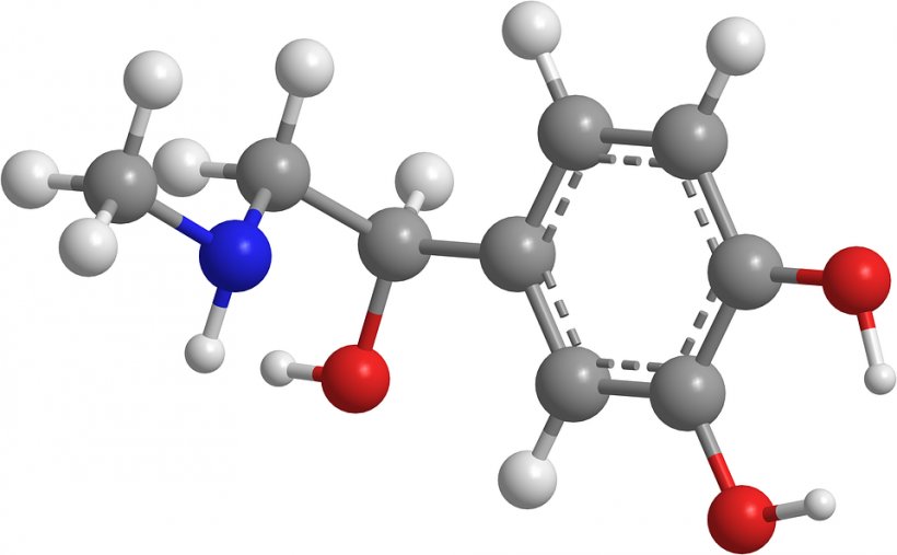 Particle Physics Organic Chemistry Science Carboxylic Acid, PNG, 960x594px, Particle Physics, Acetic Acid, Biology, Carboxylic Acid, Chemcomm Download Free