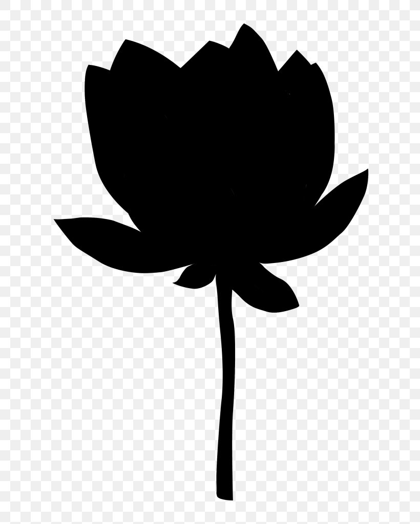Petal Vector Graphics Sacred Lotus Flower Floral Design, PNG, 704x1024px, Petal, Blackandwhite, Botany, Floral Design, Flower Download Free