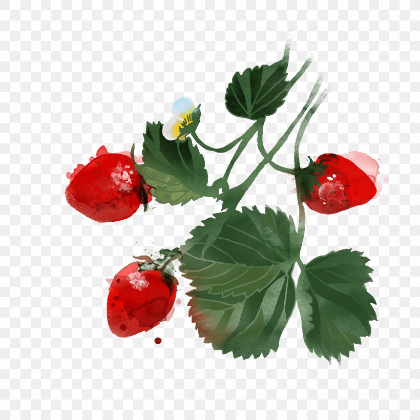 Berry Watercolor Painting Drawing Illustration, PNG, 2500x2500px, Berry, Art, Cherry, Drawing, Flower Download Free