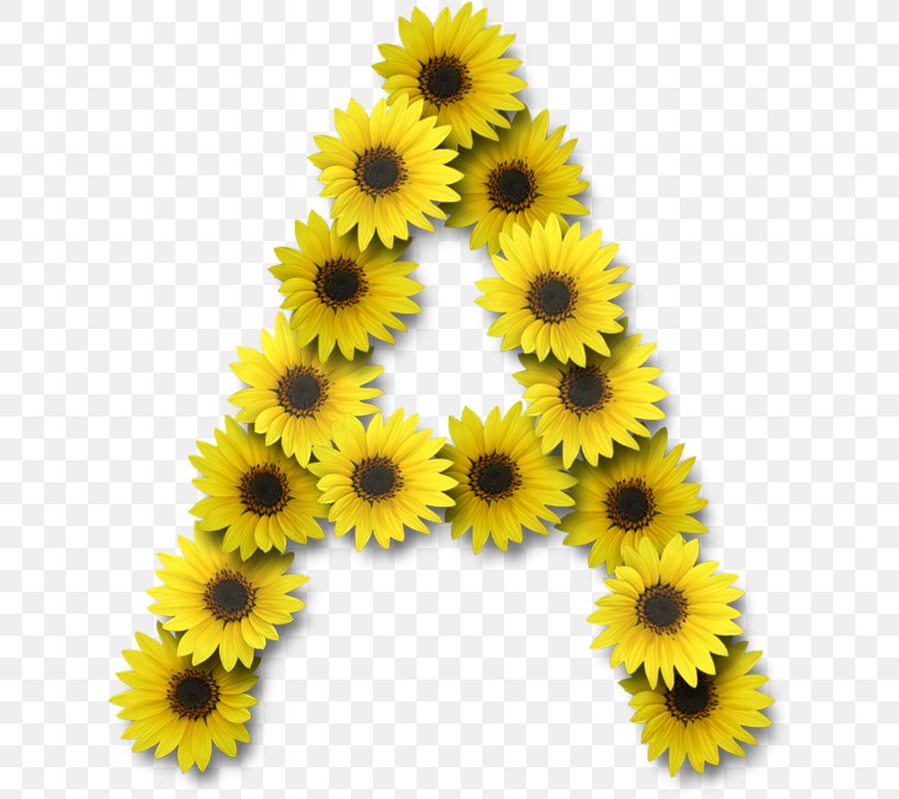 Common Sunflower Alphabet Lettering, PNG, 623x729px, Common Sunflower, Alphabet, Daisy Family, Digital Scrapbooking, Flower Download Free