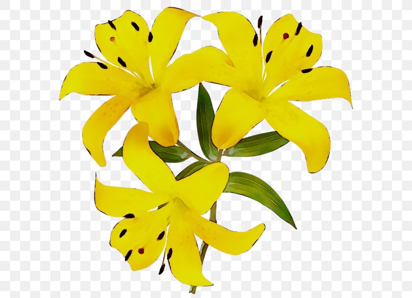 Flower Bouquet Clip Art Yellow, PNG, 600x594px, Flower, Calla Lily, Cut Flowers, Daylily, Easter Lily Download Free