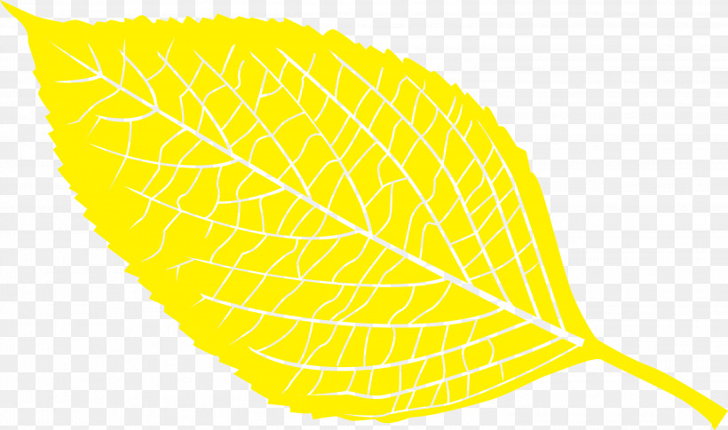 Leaf, PNG, 2999x1776px, Leaf, Biology, Fruit, Geometry, Line Download Free