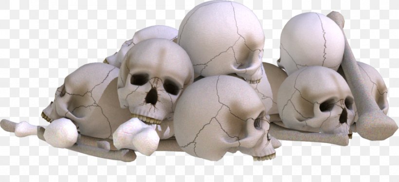 Skull Image Editing PicsArt Photo Studio, PNG, 900x411px, Skull, Bone, Digital Image, Dog Breed, Dog Like Mammal Download Free