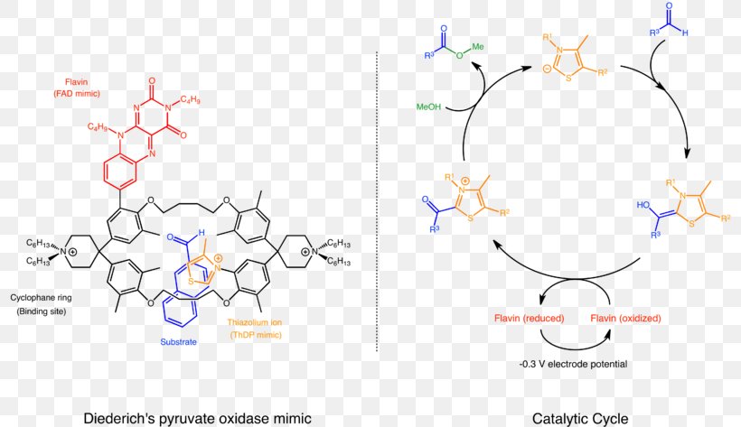 Supramolecular Catalysis Supramolecular Chemistry Pyruvate Oxidase, PNG, 800x473px, Supramolecular Catalysis, Area, Art, Branch, Brand Download Free