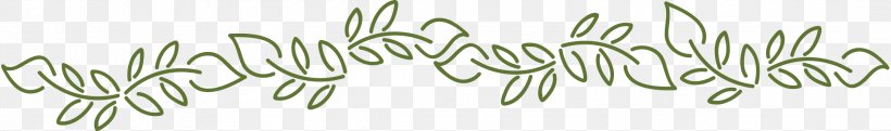 Twig Grasses Plant Stem Herb Font, PNG, 2167x320px, Twig, Branch, Closeup, Grass, Grass Family Download Free