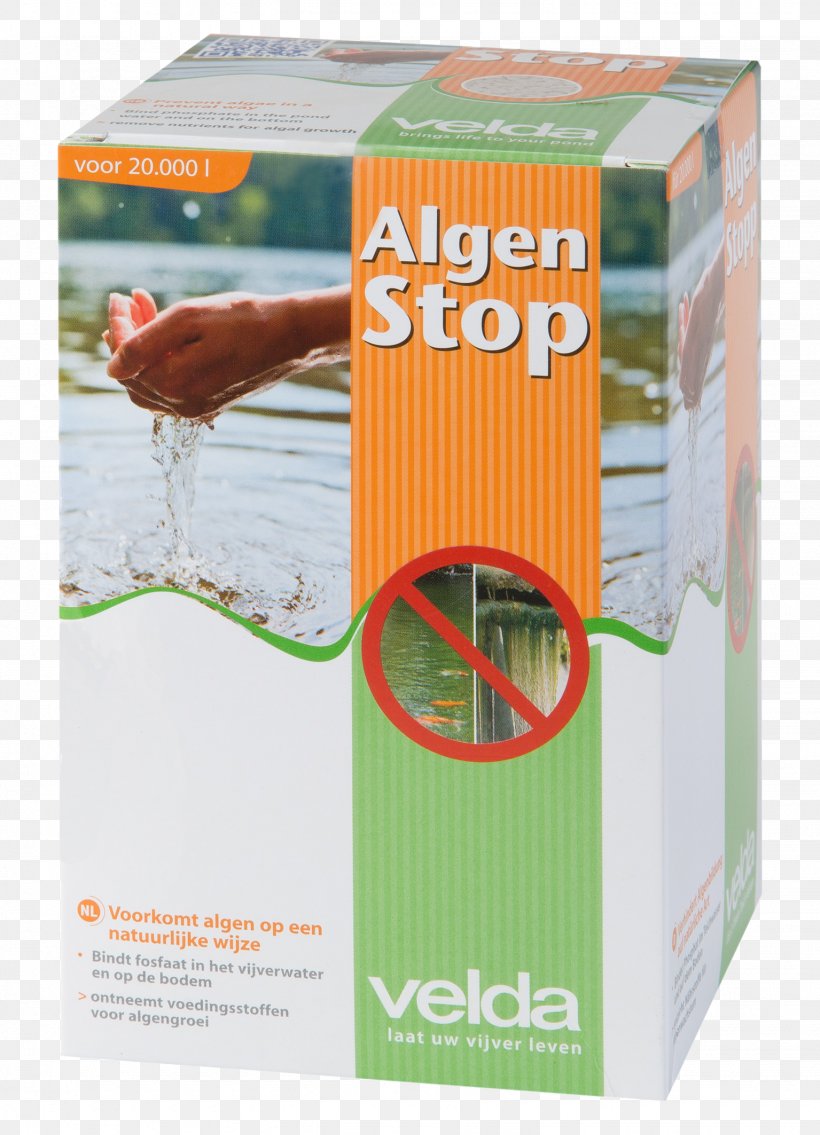 Algaecide Garden Pond Algue Filamenteuse, PNG, 1535x2126px, Algae, Algaecide, Algue Filamenteuse, Biotope, Carton Download Free