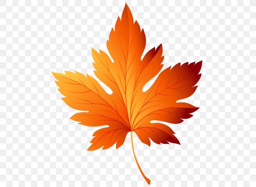 Autumn Leaf Color Clip Art, PNG, 500x600px, Autumn, Autumn Leaf Color, Color, Flowering Plant, Leaf Download Free