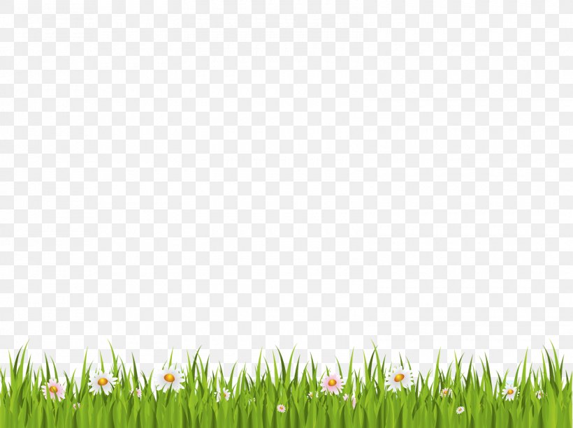 Download Clip Art, PNG, 1600x1198px, Display Resolution, Field, Grass, Grass Family, Grassland Download Free