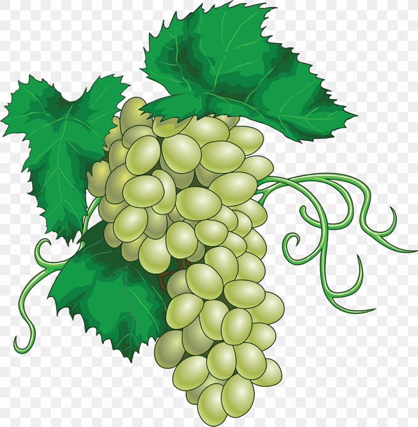 Wine Grape Leaves Juice Riesling, PNG, 1174x1200px, Wine, Common Grape Vine, Flowering Plant, Food, Fruit Download Free