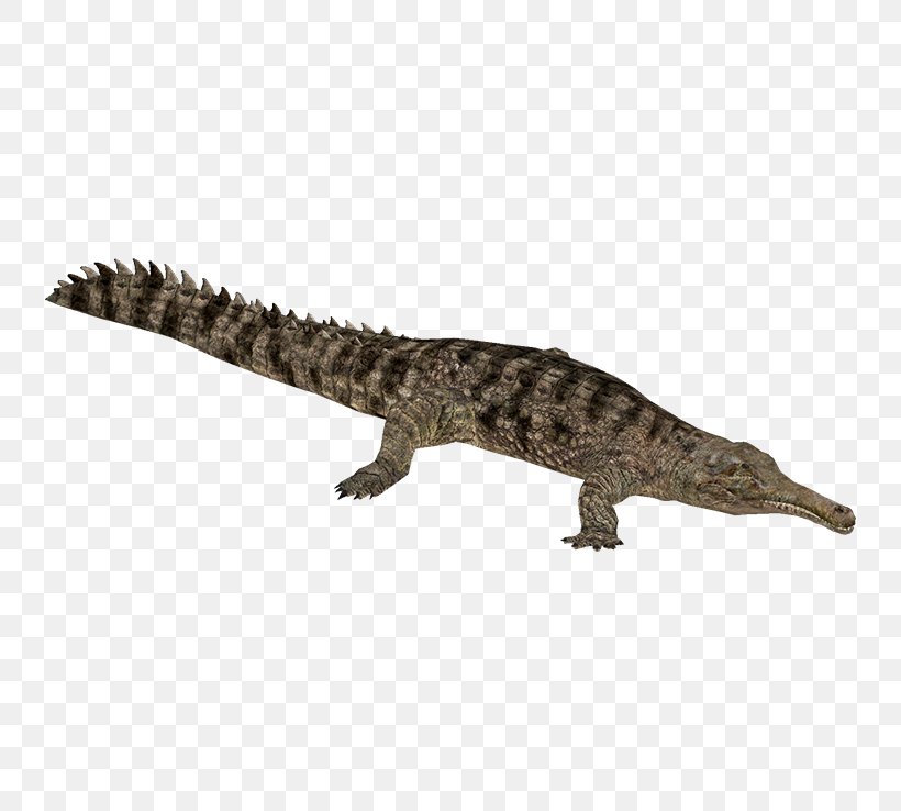 Crocodile False Gharial Alligator Gavialidae, PNG, 738x738px, Crocodile, Alligator, Animal Figure, Black Caiman, Crocodiles Download Free