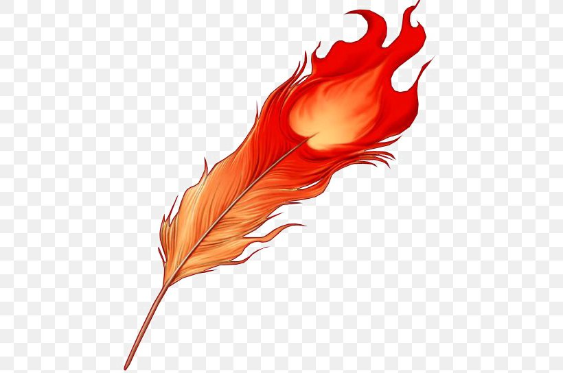 Firebird Phoenix Feather Tattoo, PNG, 544x544px, Bird, Abziehtattoo, Beak, Color, Fawkes Download Free
