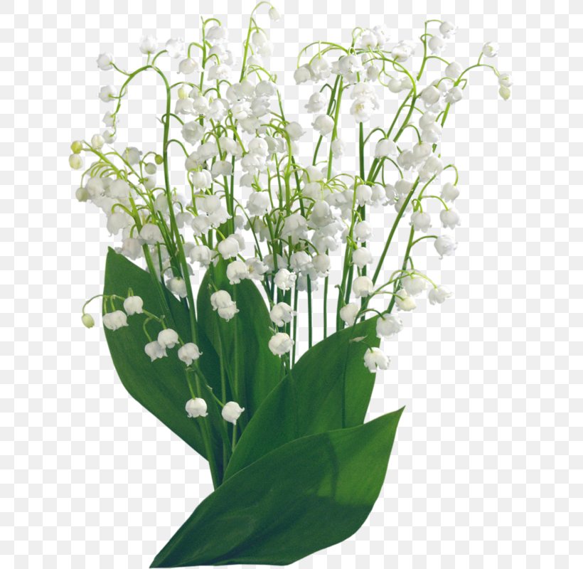 Landishi Clip Art, PNG, 628x800px, Landishi, Cut Flowers, Digital Image, Floral Design, Floristry Download Free
