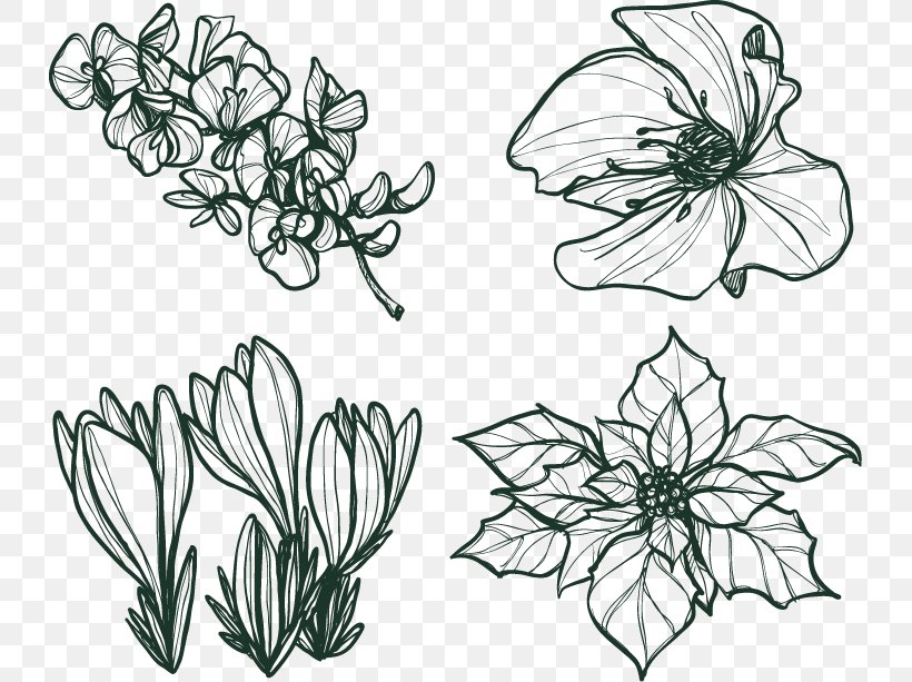 Euclidean Vector Flower Poinsettia Winter, PNG, 731x613px, Flower, Art, Artwork, Black And White, Branch Download Free