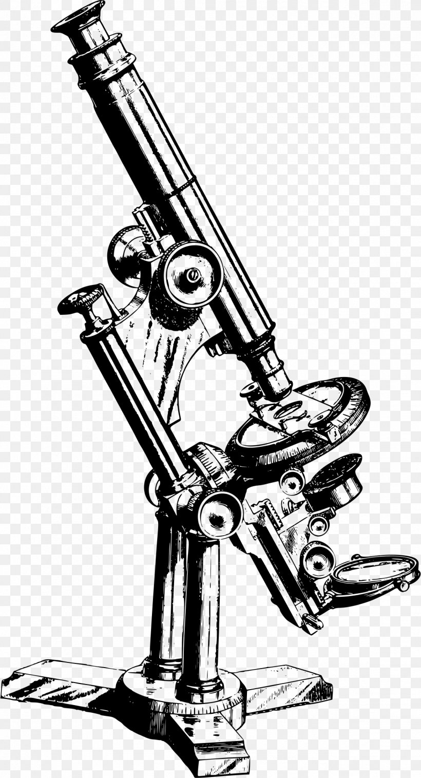 Microscope Drawing Clip Art, PNG, 1299x2400px, Microscope, Art, Auto Part, Black And White, Brass Instrument Download Free