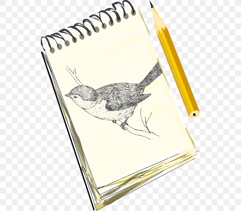 Paper Laptop Drawing Notebook, PNG, 542x720px, Paper, Beak, Bird, Bird Of Prey, Drawing Download Free