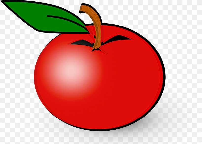 Tomato, PNG, 3234x2319px, Fruit, Apple, Food, Leaf, Malus Download Free