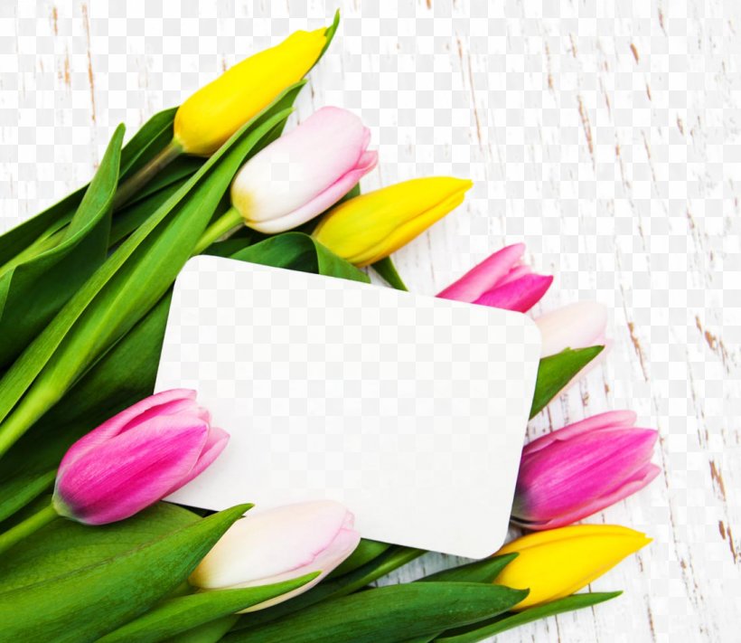 Tulip Flower Poster, PNG, 1100x955px, Tulip, Designer, Floral Design, Floristry, Flower Download Free