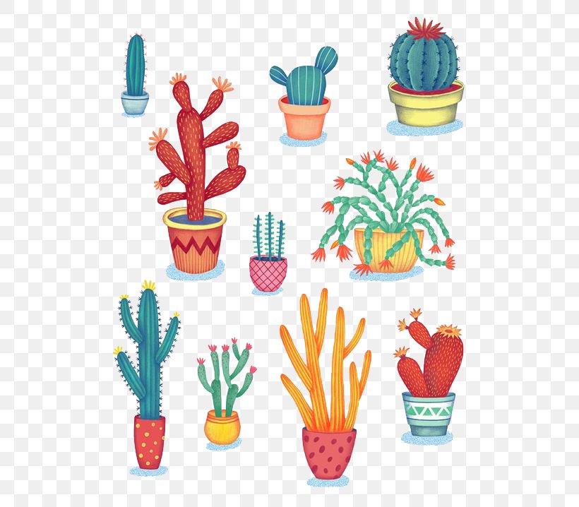 Cactaceae Succulent Plant Drawing Illustration, PNG, 564x718px, Cactaceae, Art, Baking Cup, Cactus, Caryophyllales Download Free