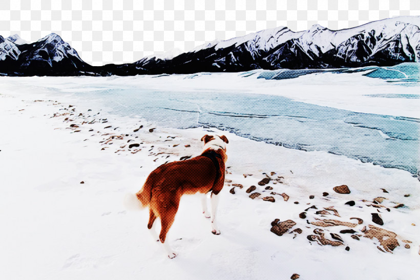 Dog 09738 Glacial Landform Snow Freezing, PNG, 1200x800px, Dog, Breed, Freezing, Geology, Glacial Landform Download Free