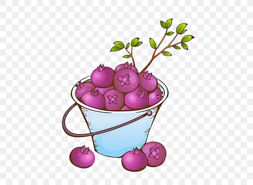 Purple Mangosteen Fruit, PNG, 549x600px, Purple Mangosteen, Auglis, Display Resolution, Dots Per Inch, Flower Download Free