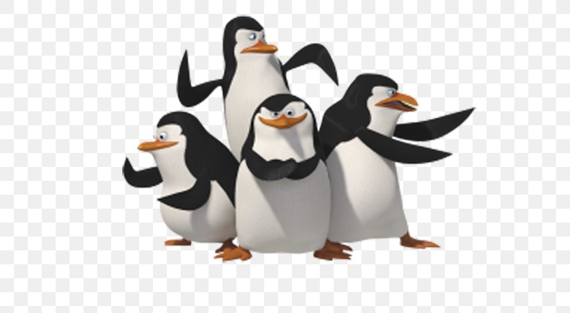 The Penguins Of Madagascar The Penguins Of Madagascar DreamWorks Television Show, PNG, 600x450px, Madagascar, Animated Series, Animation, Beak, Bird Download Free