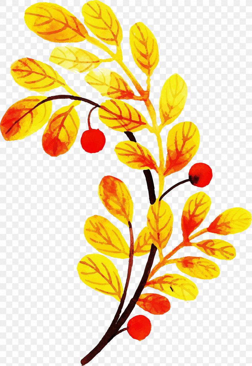 Autumn Leaf Colorful Leaf, PNG, 2068x2999px, Autumn Leaf, Colorful Leaf, Cut Flowers, Flora, Floral Design Download Free