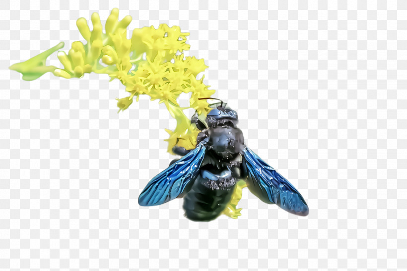 Bumblebee, PNG, 2452x1632px, Honeybee, Bee, Bumblebee, Carpenter Bee, Insect Download Free