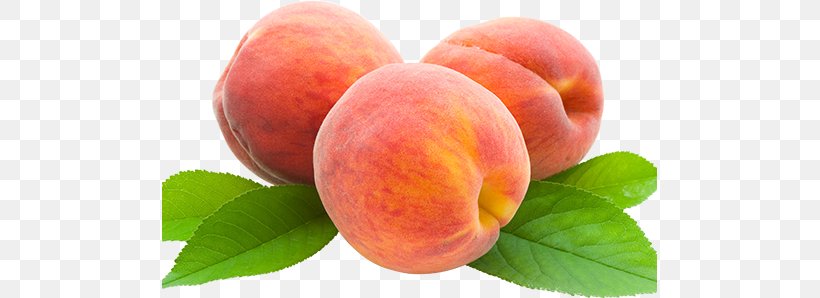 Peach Clip Art, PNG, 495x298px, Peach, Apricot, Food, Fruit, Image File Formats Download Free