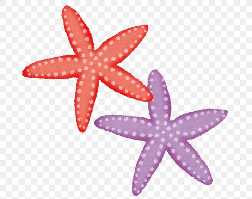 Starfish いらすとや Animal 市民パソコン塾 グランリバー大井川校 Png 703x647px Starfish Animal Child