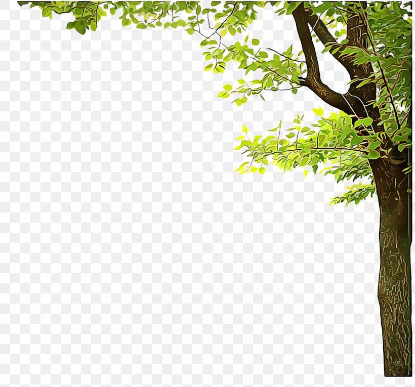 Borders And Frames Tree Transparency Branch Bud, PNG, 1500x1400px, Borders And Frames, Branch, Bud, Forest, Green Download Free