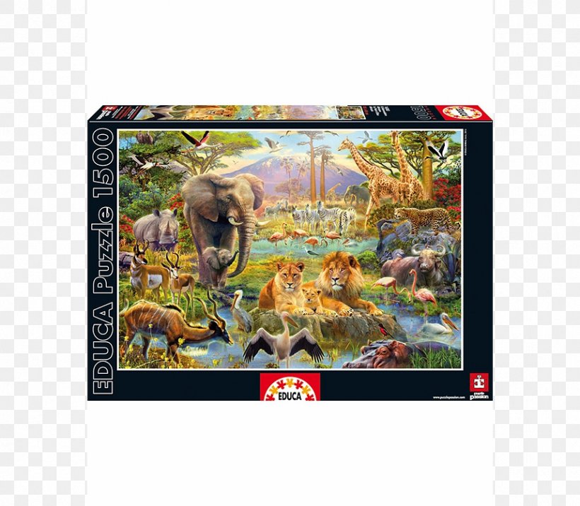 Lion Jigsaw Puzzles Rainforest Jungle Animal, PNG, 858x750px, Lion, Animal, Carnivore, Elephantidae, Fauna Download Free