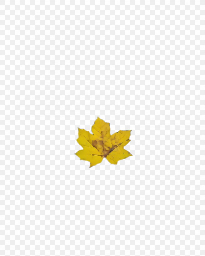 Maple Leaf, PNG, 1788x2236px, Yellow, Leaf, Maple Leaf, Plant, Tree Download Free