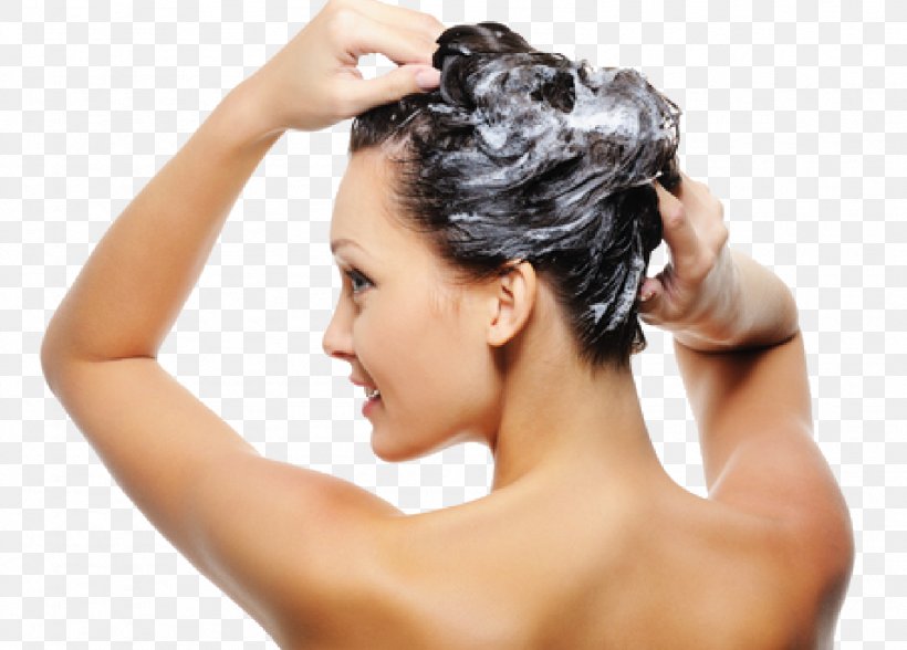 Shampoo Hair Care Hair Washing Hair Conditioner, PNG, 1588x1140px, Shampoo, Beauty Parlour, Black Hair, Brown Hair, Bun Download Free